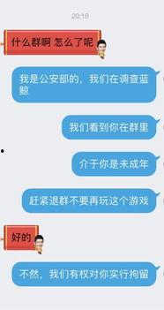 与蓝鲸管理员对话视频,对话视频背后的真相与挑战