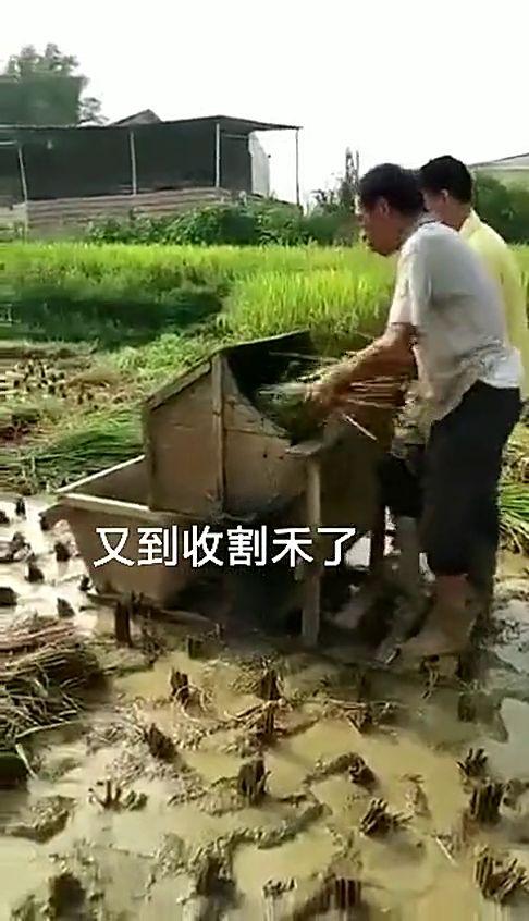 割禾机视频