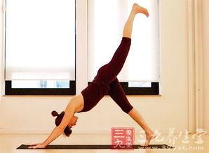 瑜珈的视频,轻松入门，享受身心和谐之旅