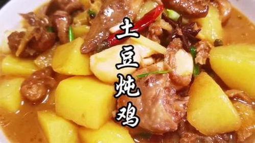 土豆炖鸡肉视频,营养美味，简单易学的经典炖菜教程
