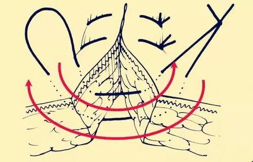 外翻缝合视频,视频教程深度解读