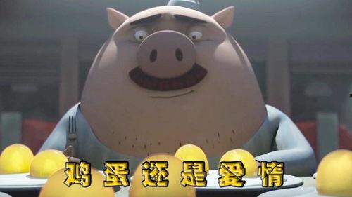 猪猪蛋视频,趣味横生的萌宠日常
