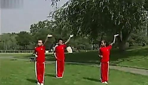 小学武术旭日东升视频,小学武术风采展示