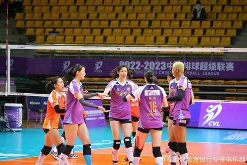 江苏女排对天津视频