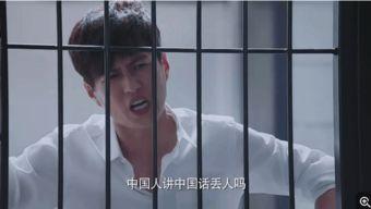 决战1999视频,揭秘世纪末的生死较量